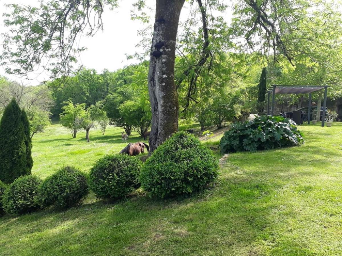 Bed and Breakfast Domaine de la Piale à Fons  Extérieur photo